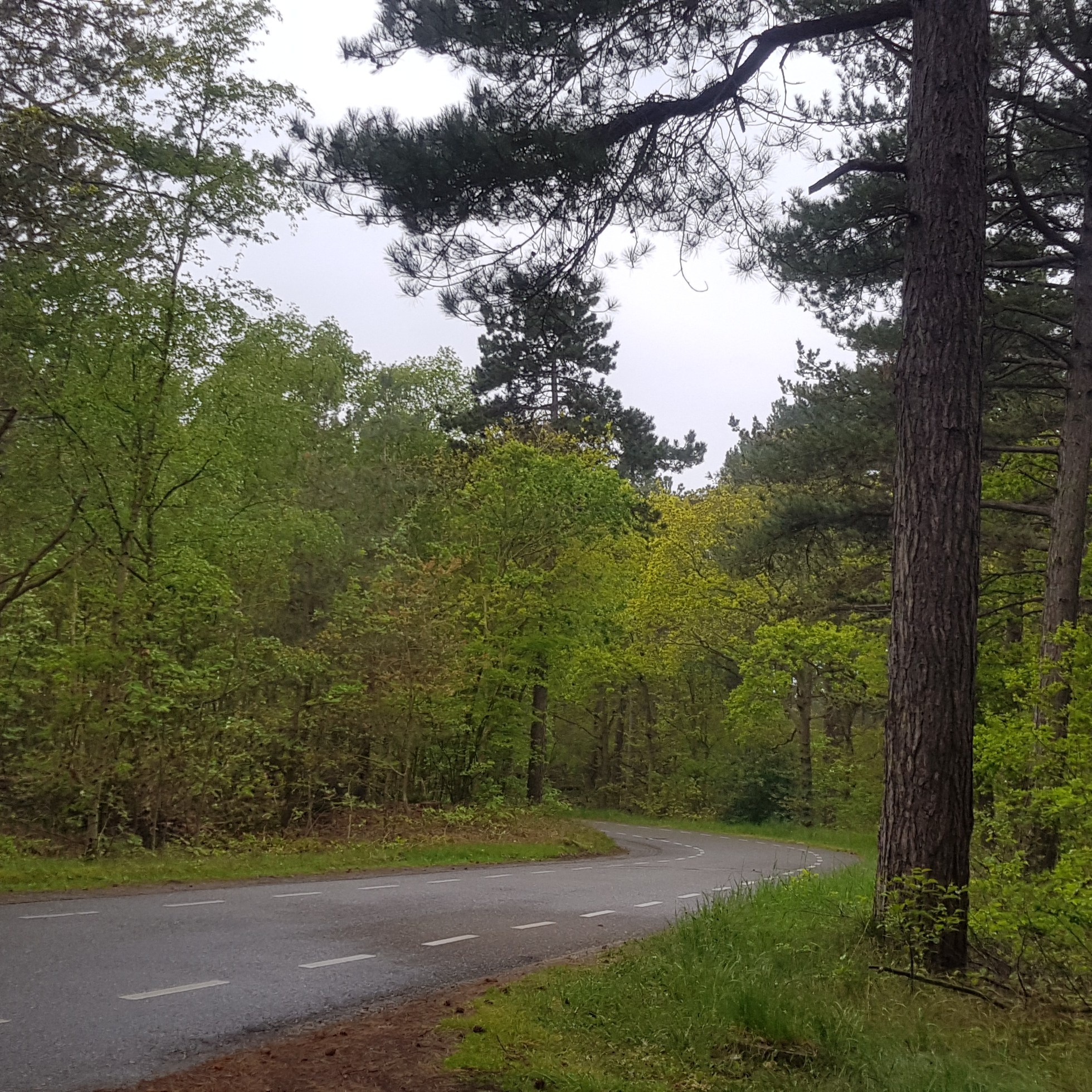 nationaal park texel