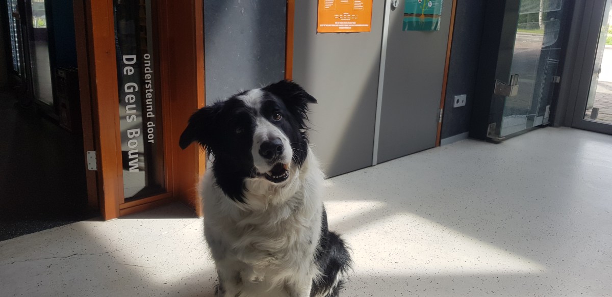 Museum BroekerVeiling