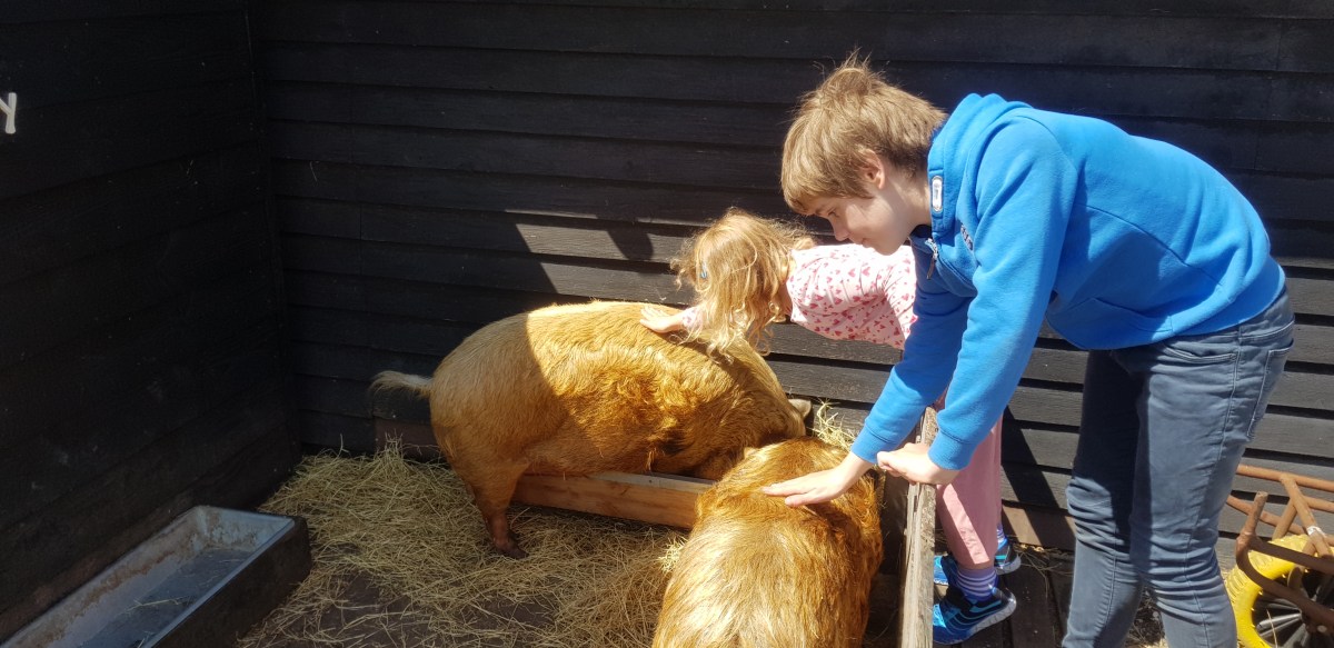 Museum BroekerVeiling