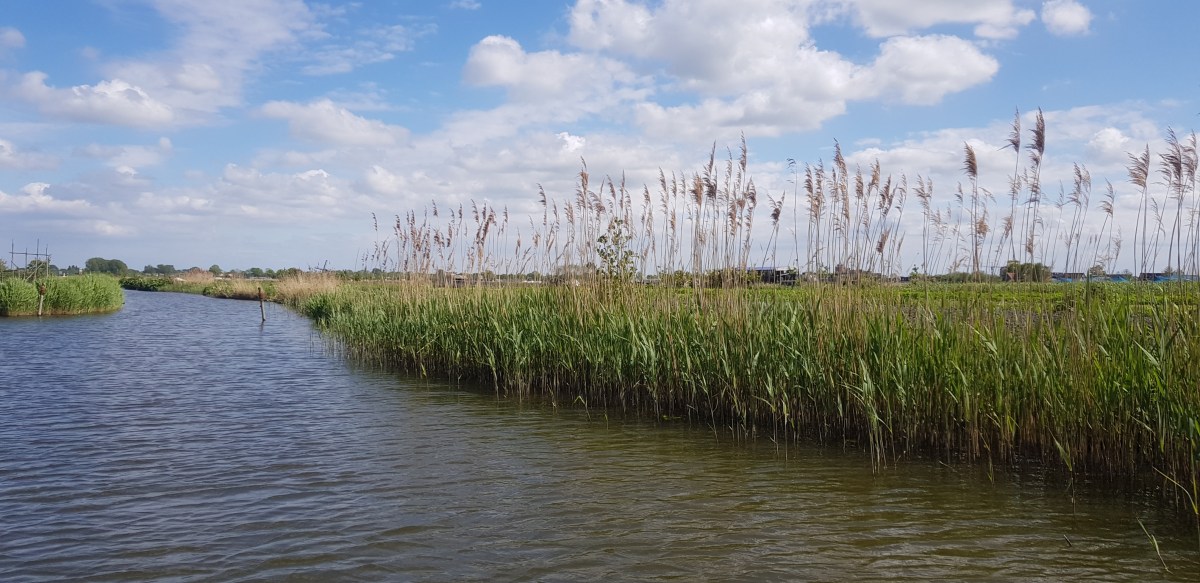 Museum BroekerVeiling