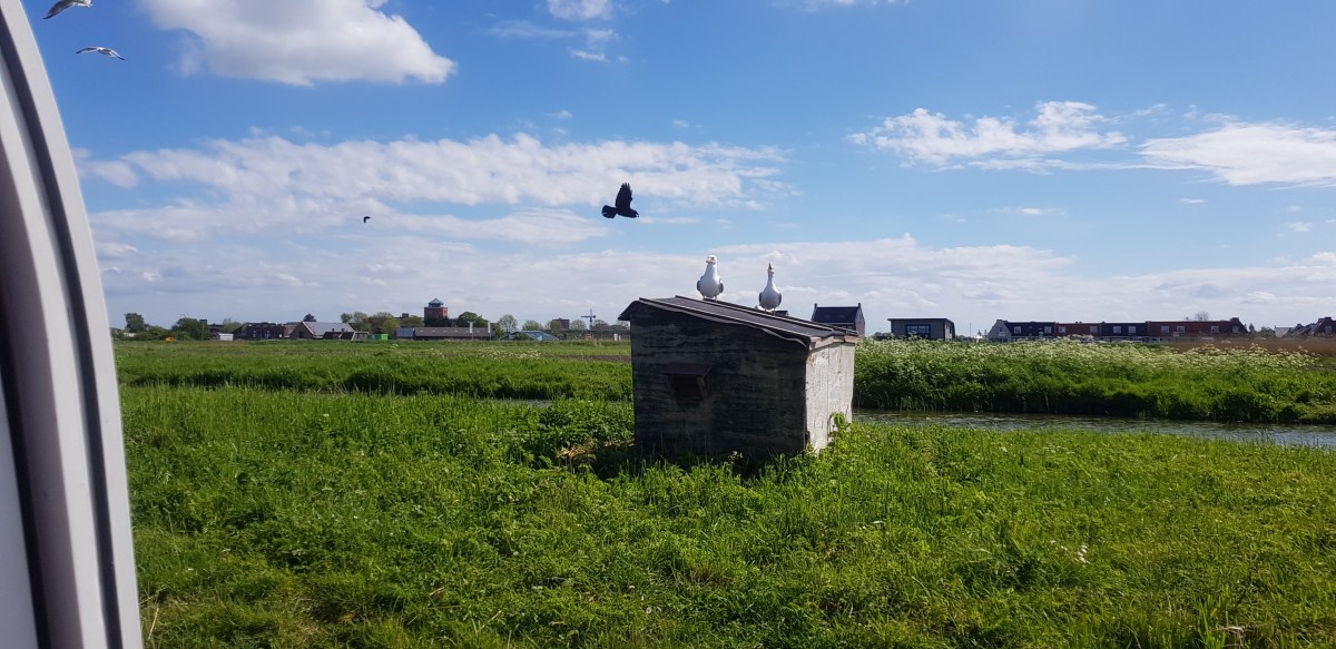 Museum BroekerVeiling