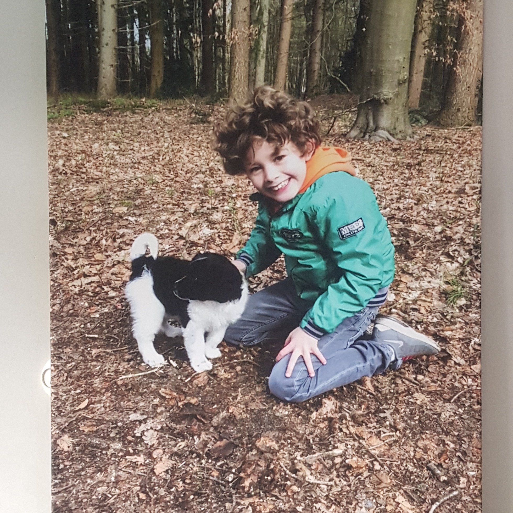 foto op canvas groot formaat