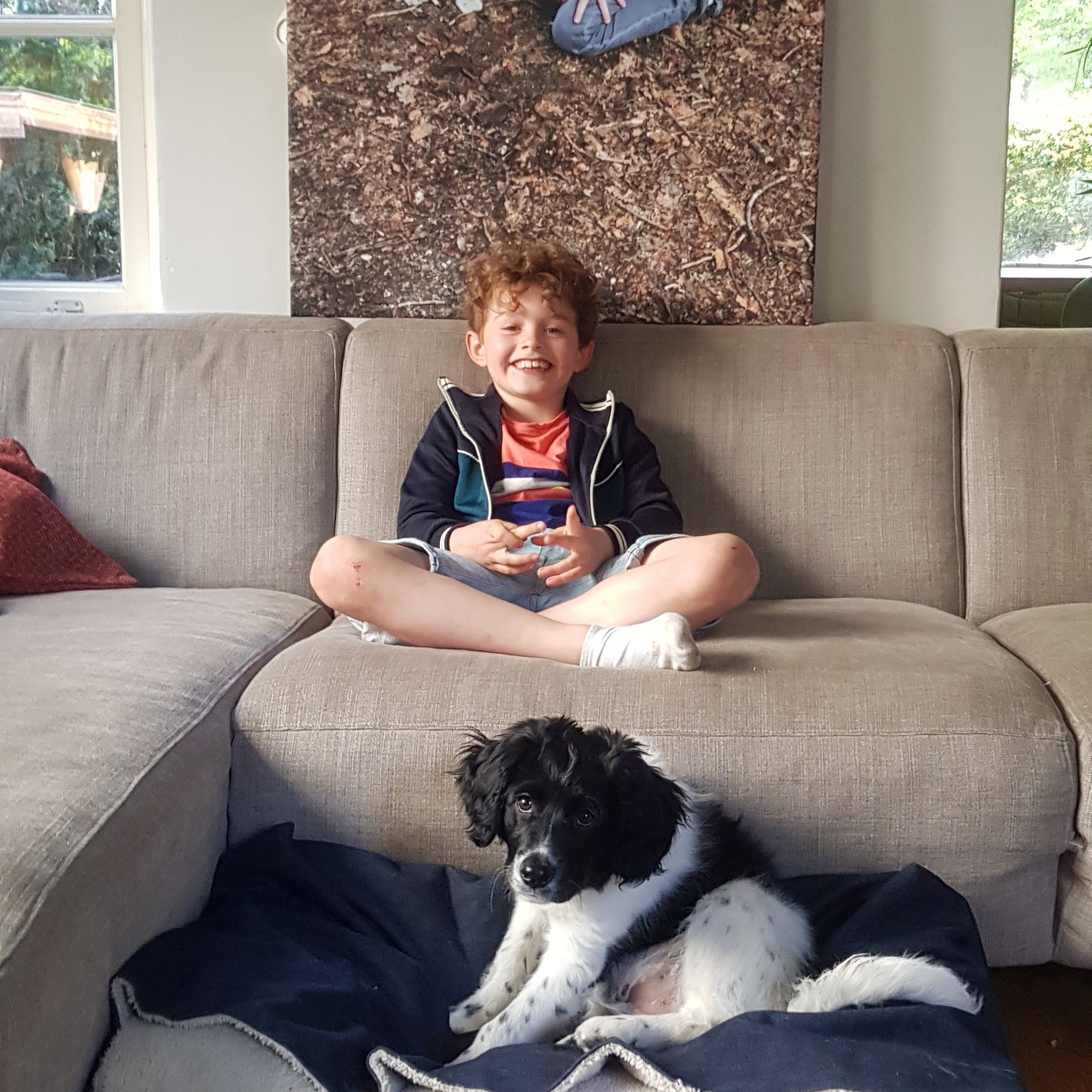 foto op canvas groot formaat