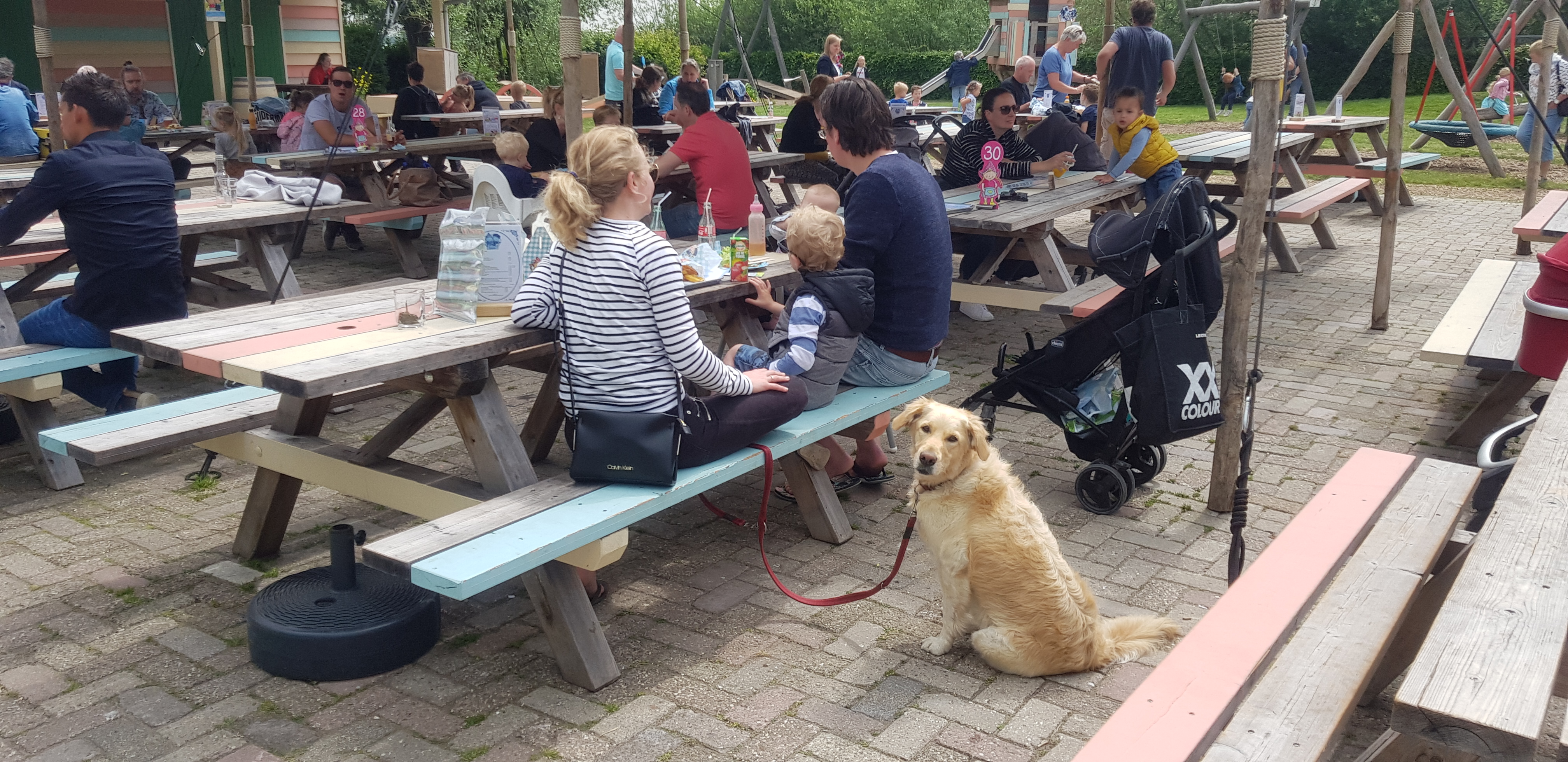 gezin met hond Avonturenboerderij Molenwaard