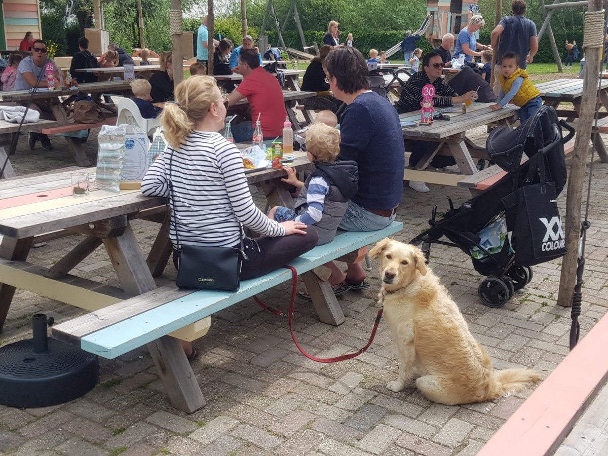 Op de boerderij bij Fien en Teun