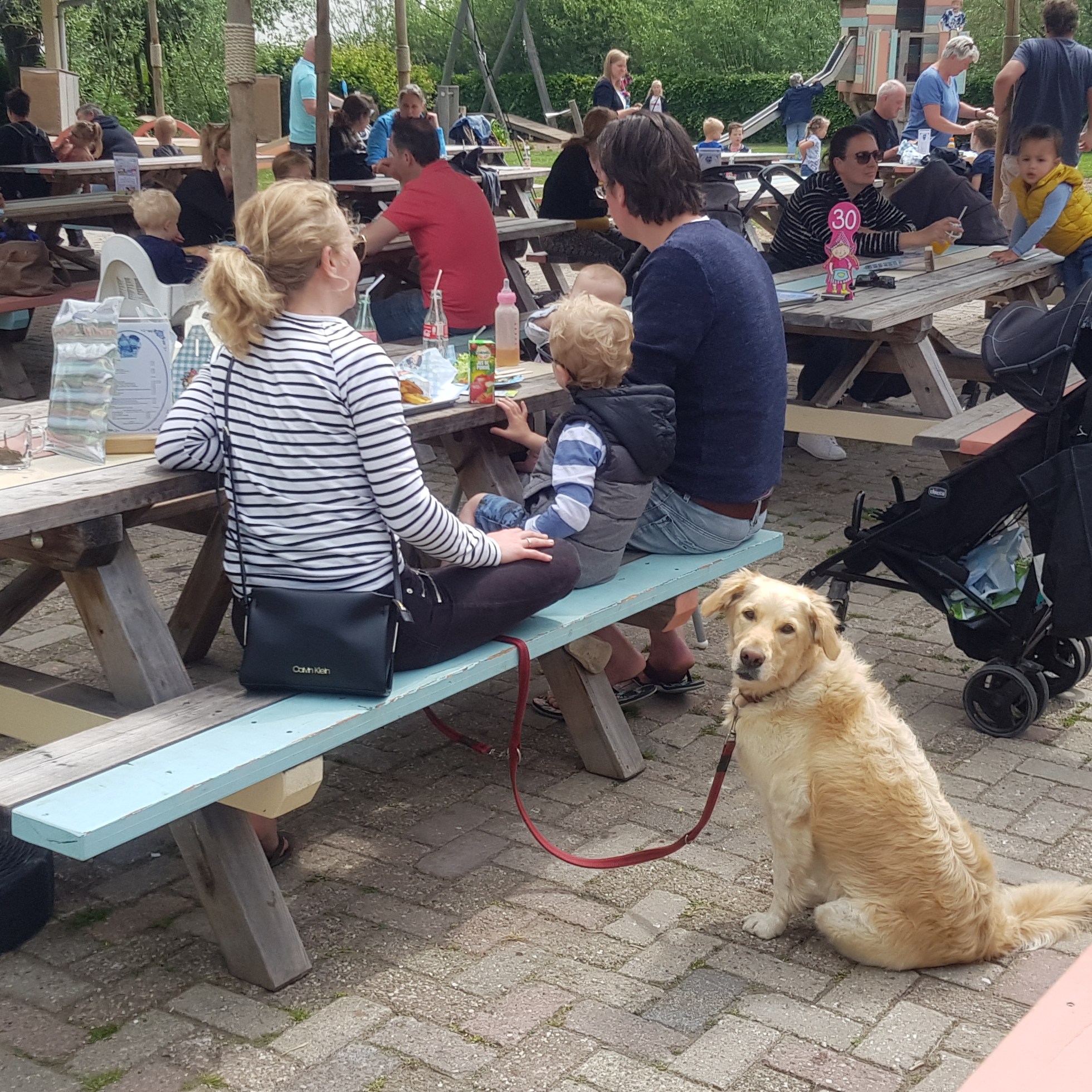 gezin met hond Avonturenboerderij Molenwaard