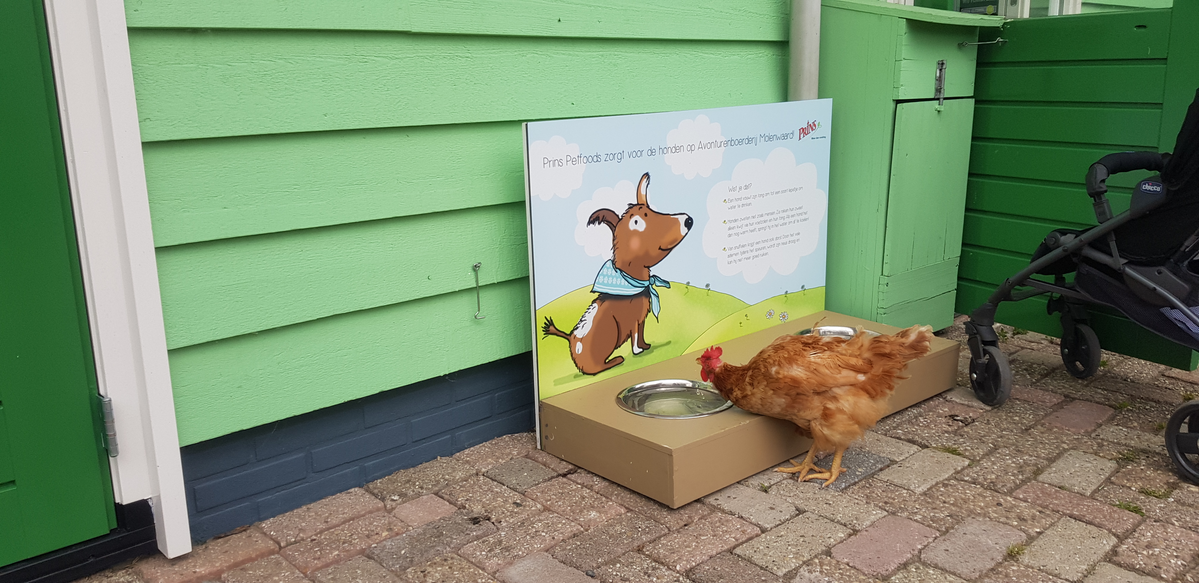 Avonturenboerderij Molenwaard