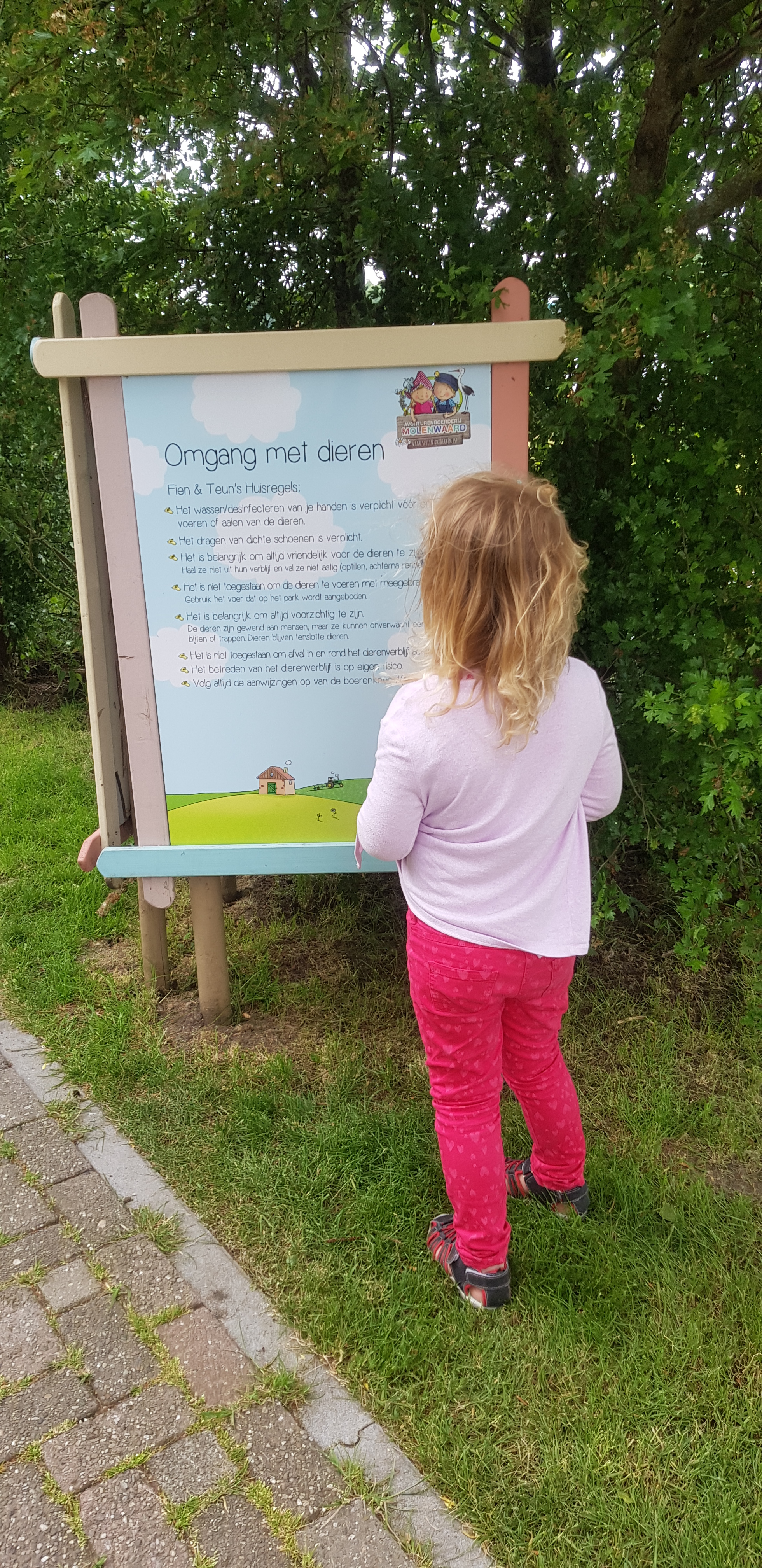 Avonturenboerderij Molenwaard