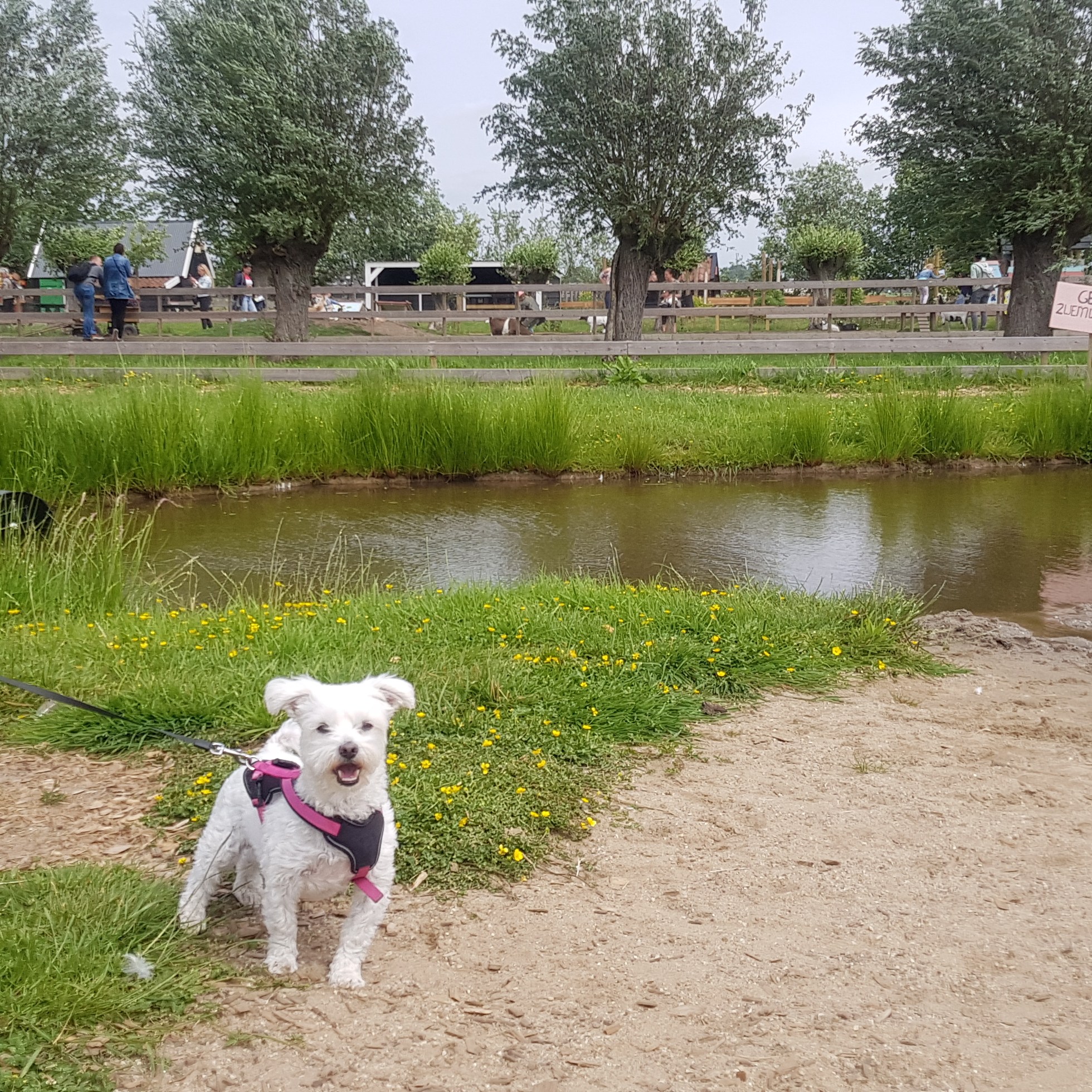 Avonturenboerderij Molenwaard
