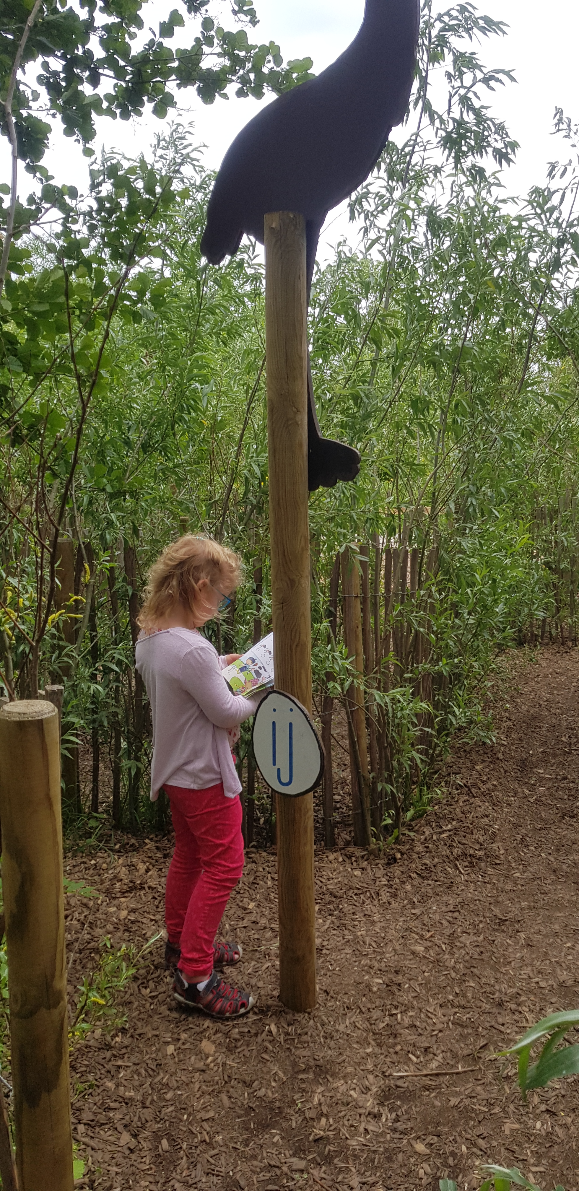 Avonturenboerderij Molenwaard