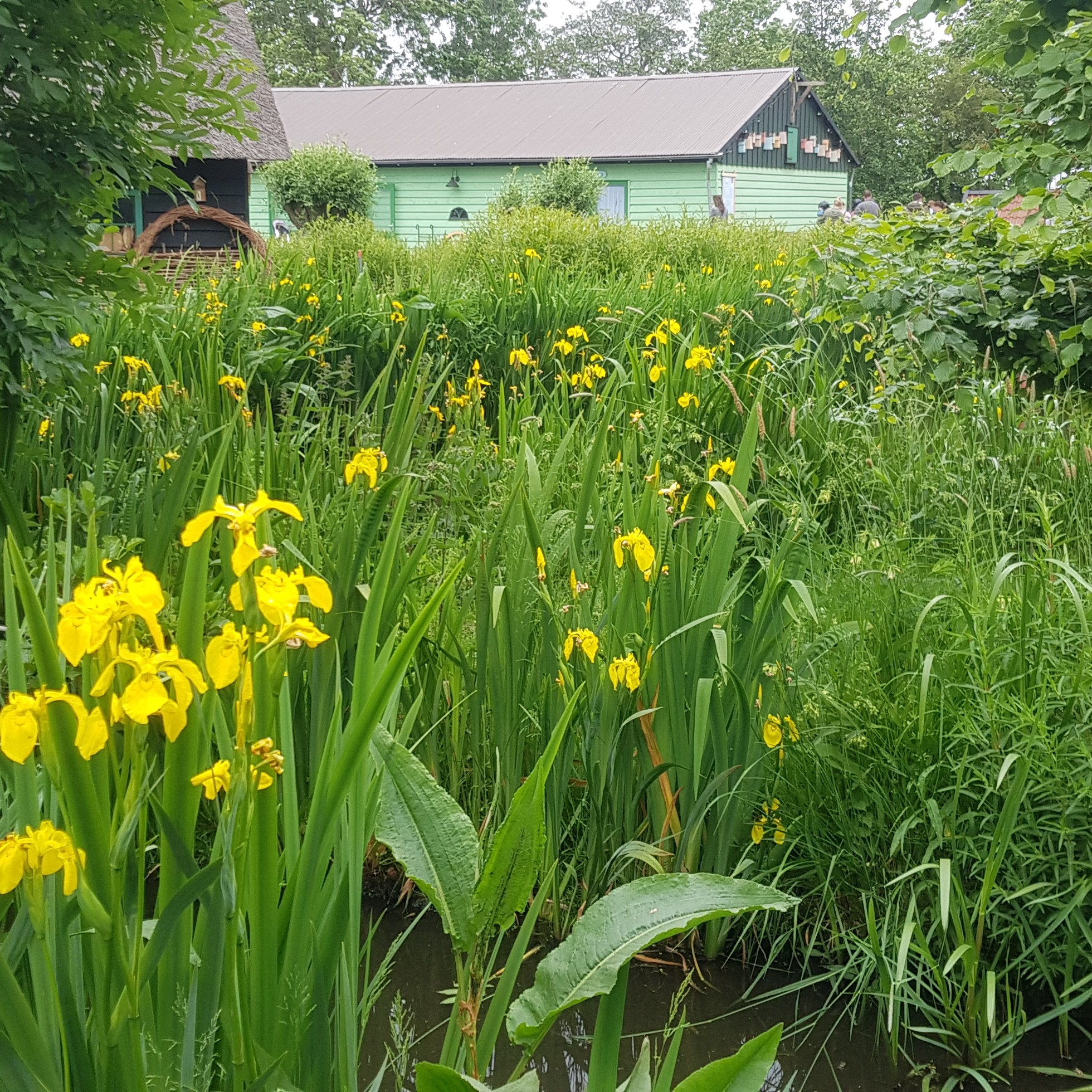 Avonturenboerderij Molenwaard