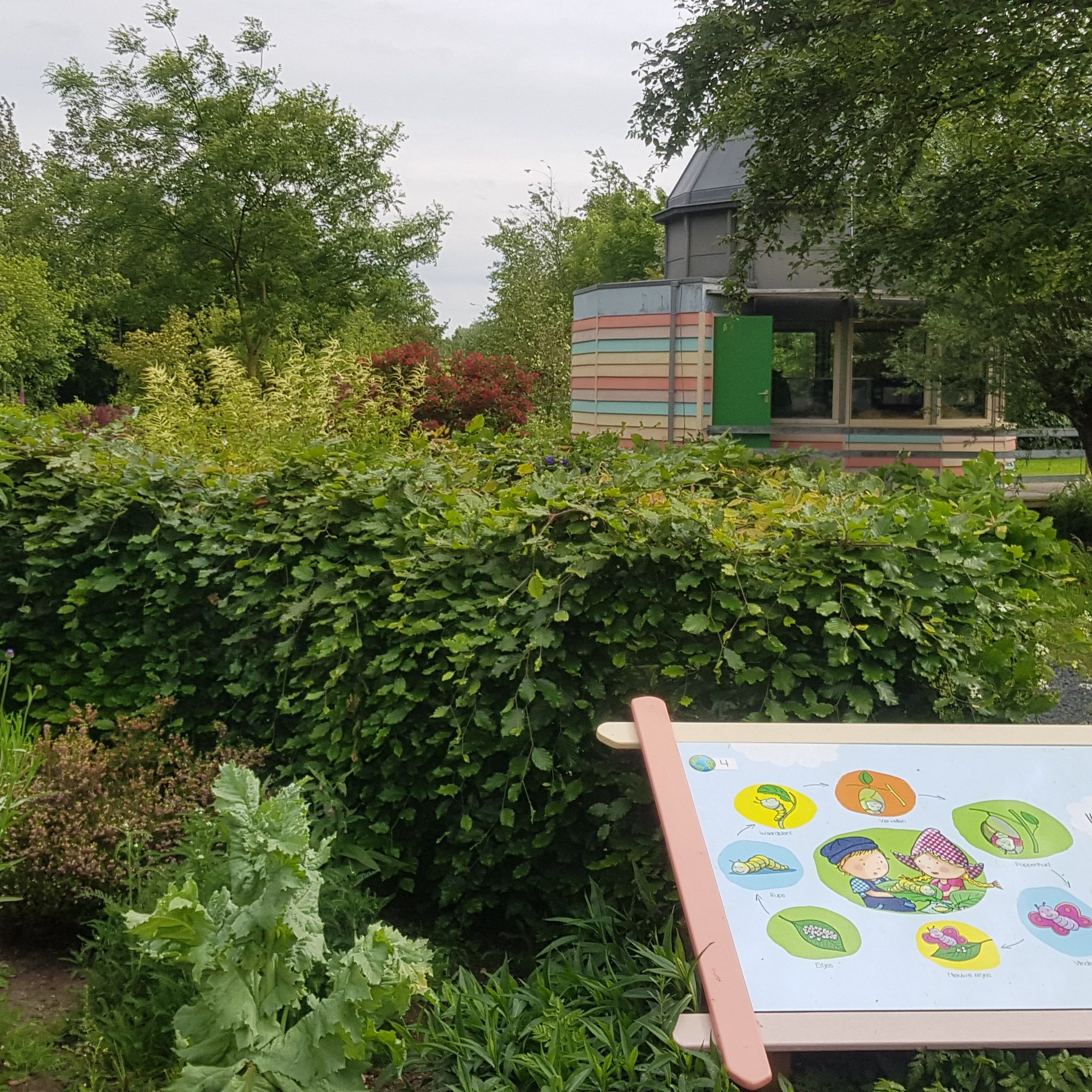 Avonturenboerderij Molenwaard