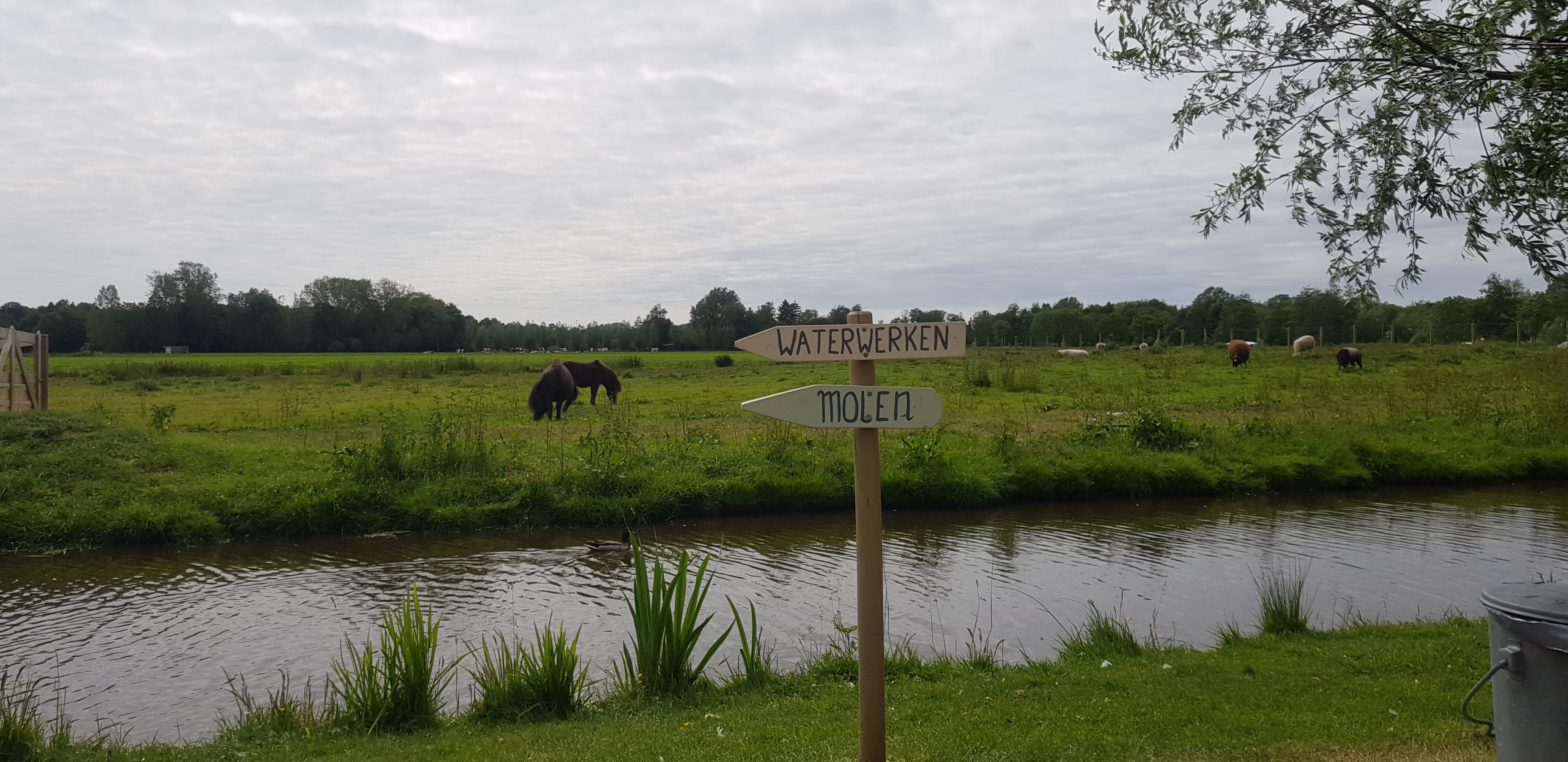Avonturenboerderij Molenwaard