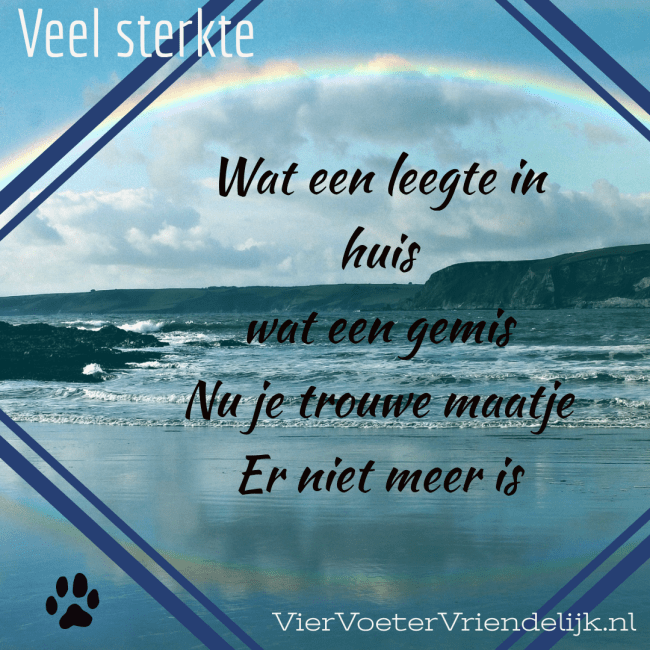 leegte in huis gedichtje hond