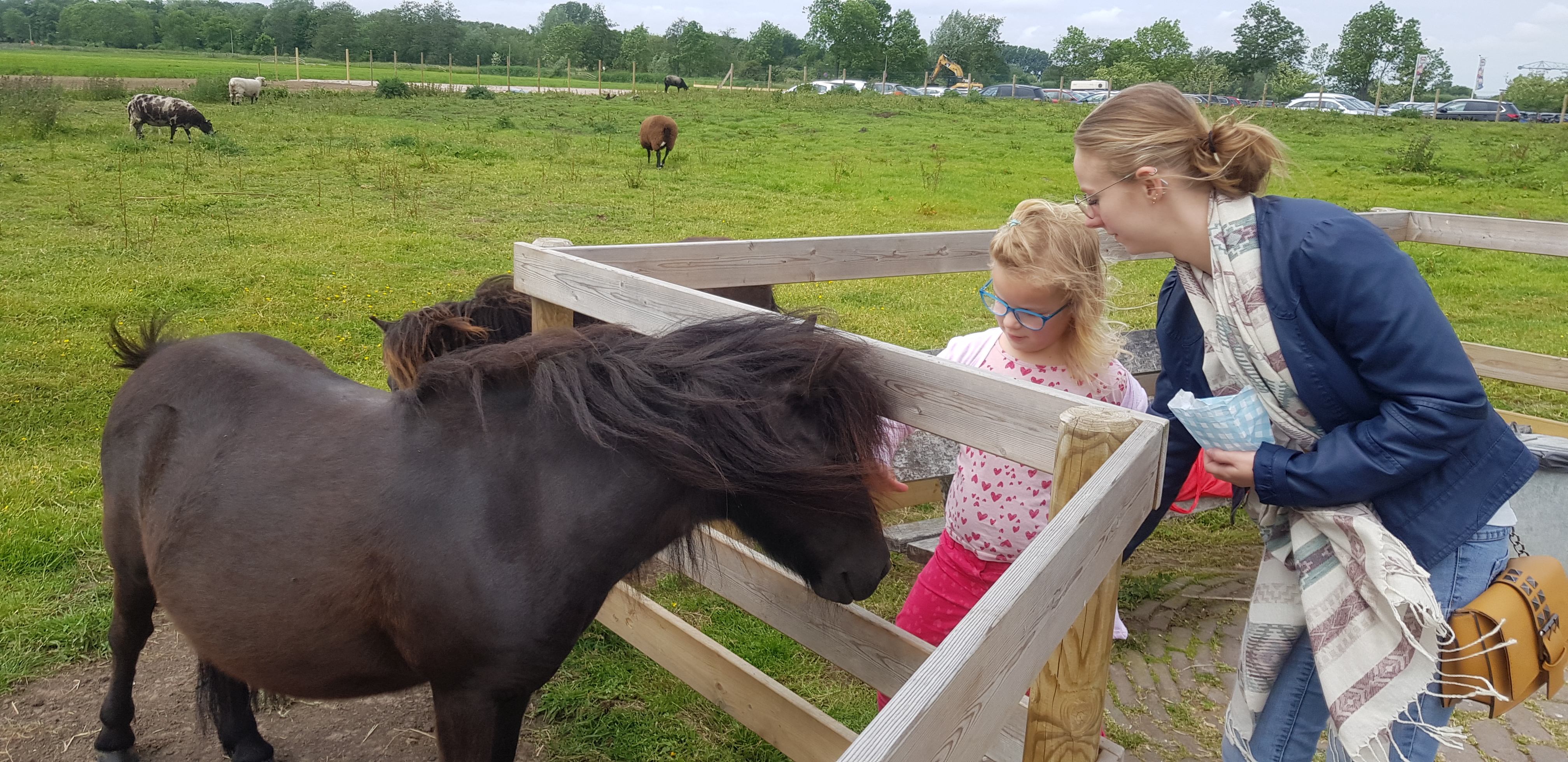 Avonturenboerderij Molenwaard