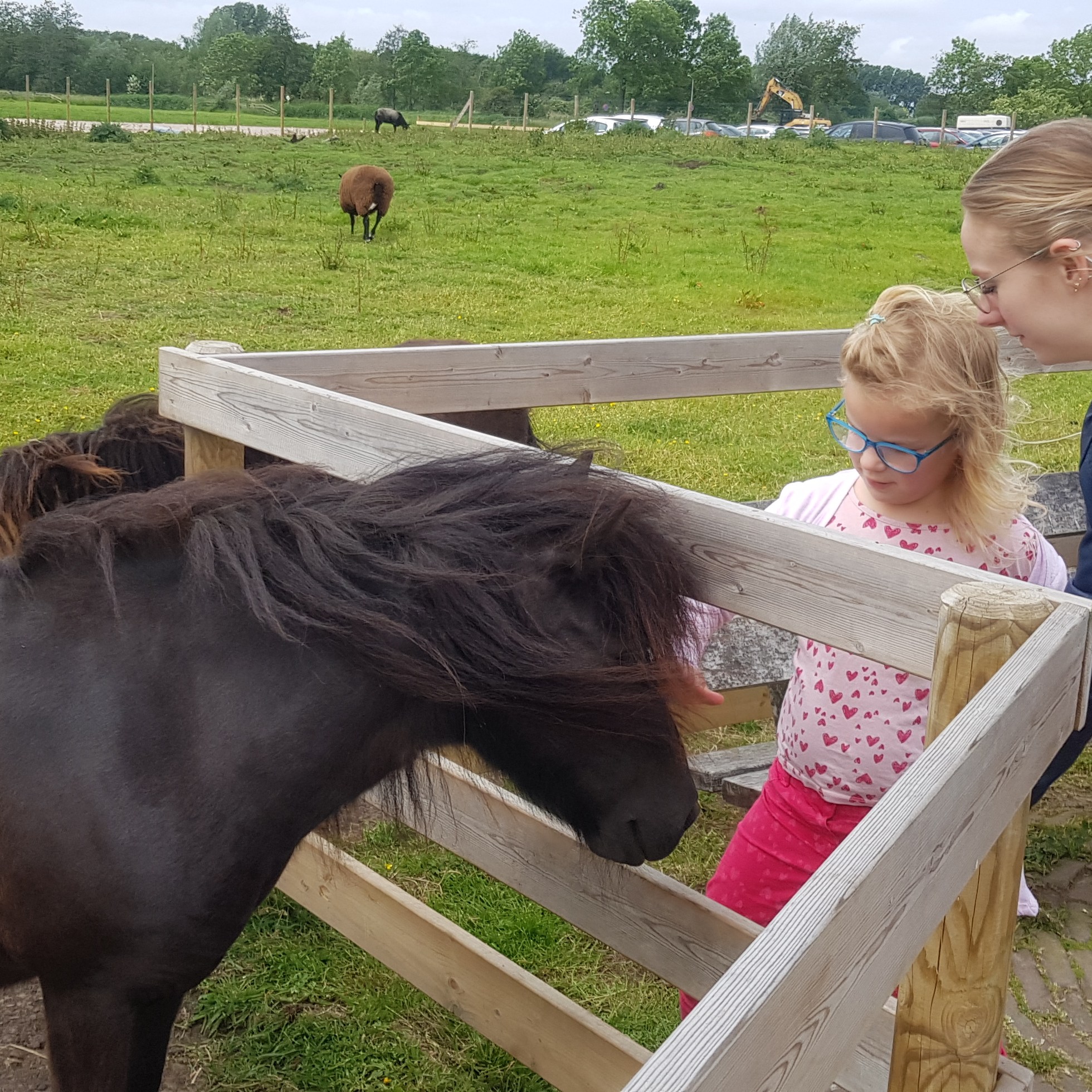 Avonturenboerderij Molenwaard