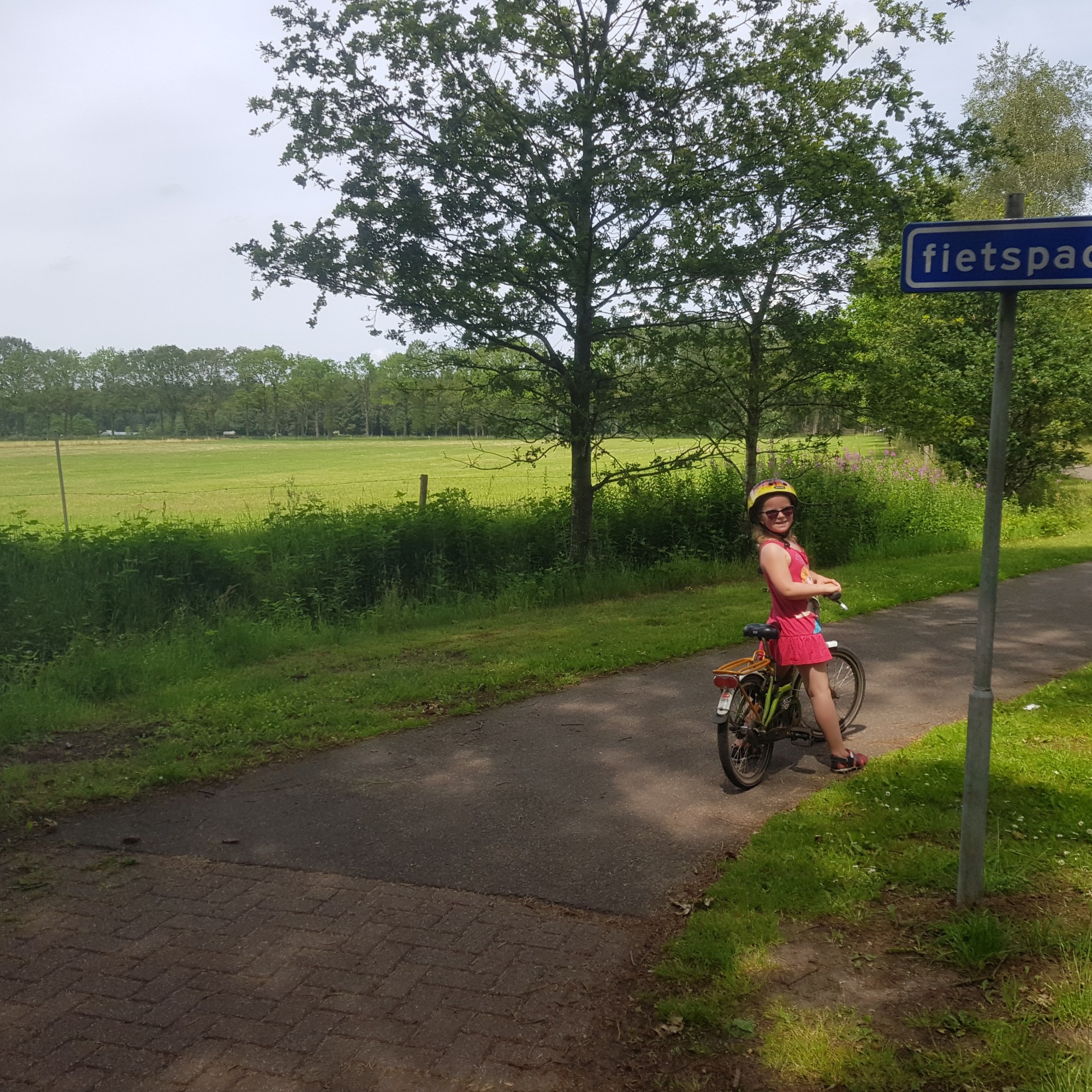 fietsen in Friesland
