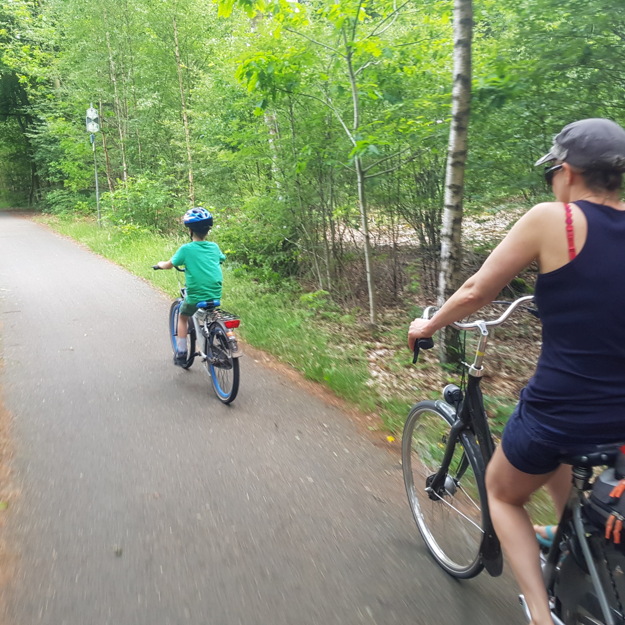 RCN De Roggeberg hond mee op vakantie