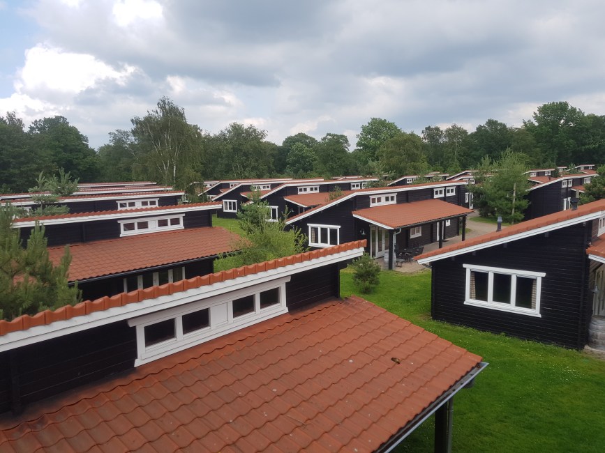 slagharen dagje weg hond mee