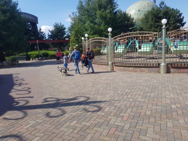 slagharen dagje weg hond mee