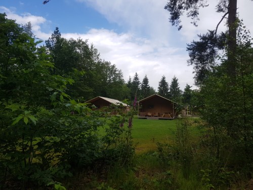 RCN De Roggeberg hond mee op vakantie