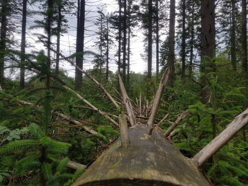 Sterrenwacht Hooghalen en het Melkwegpad