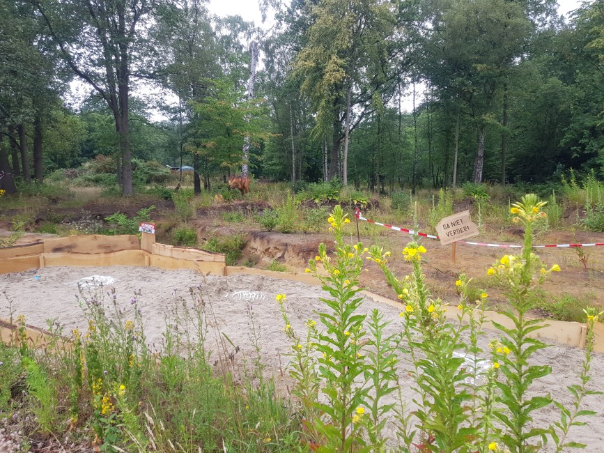 dinopark vliegbasis twente