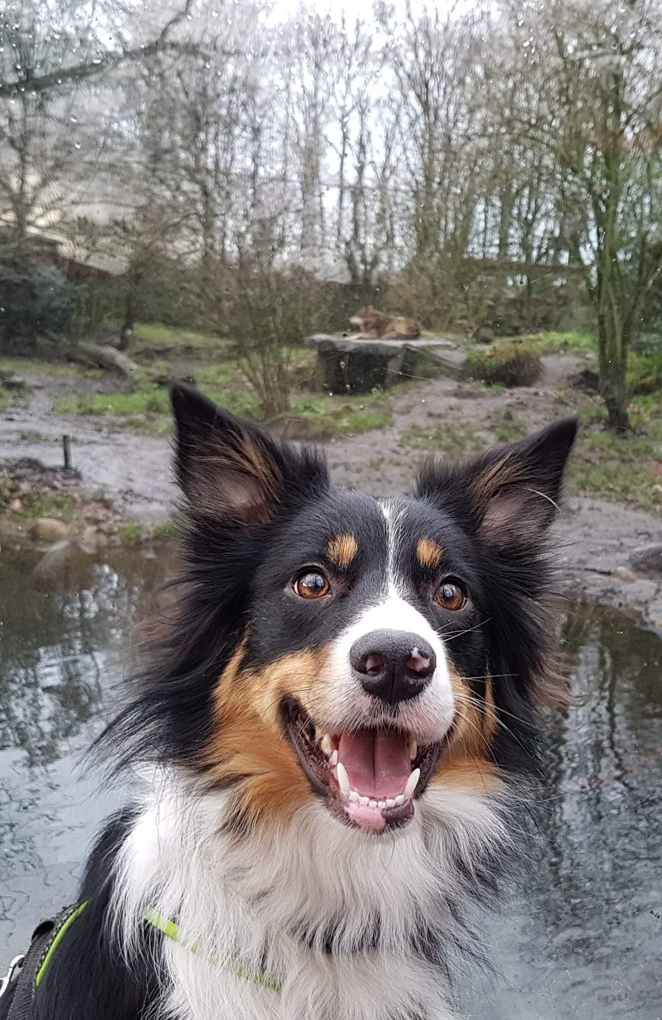 dierenpark nordhorn duitsland