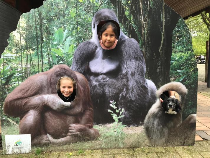 ouwehands dierentuin met hond