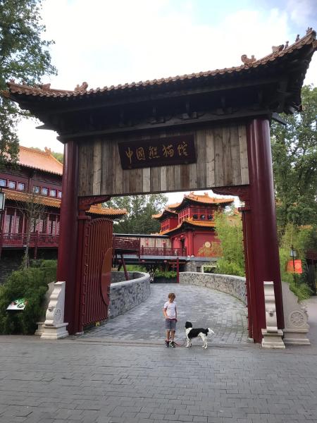 ouwehands dierentuin met hond