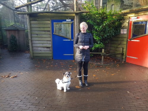 Dierenpark Amersfoort dagje weg hond mee