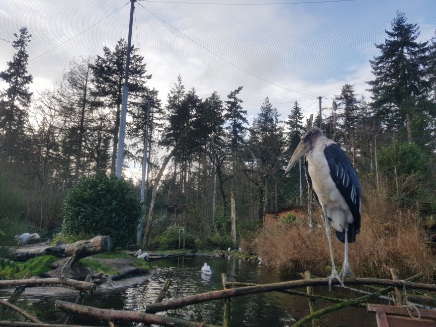 Dierenpark Amersfoort dagje weg hond mee