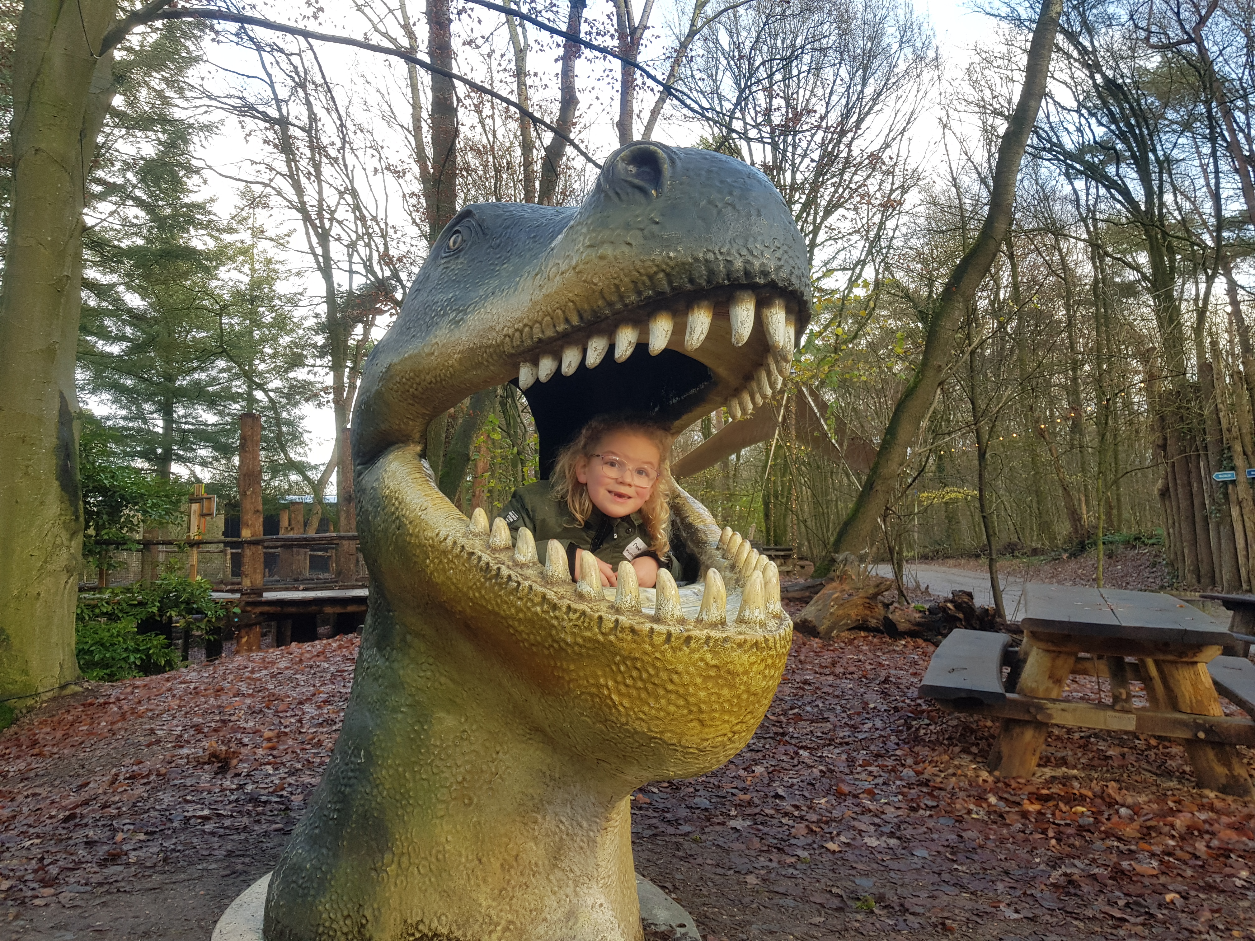 Dierenpark Amersfoort dagje weg hond mee