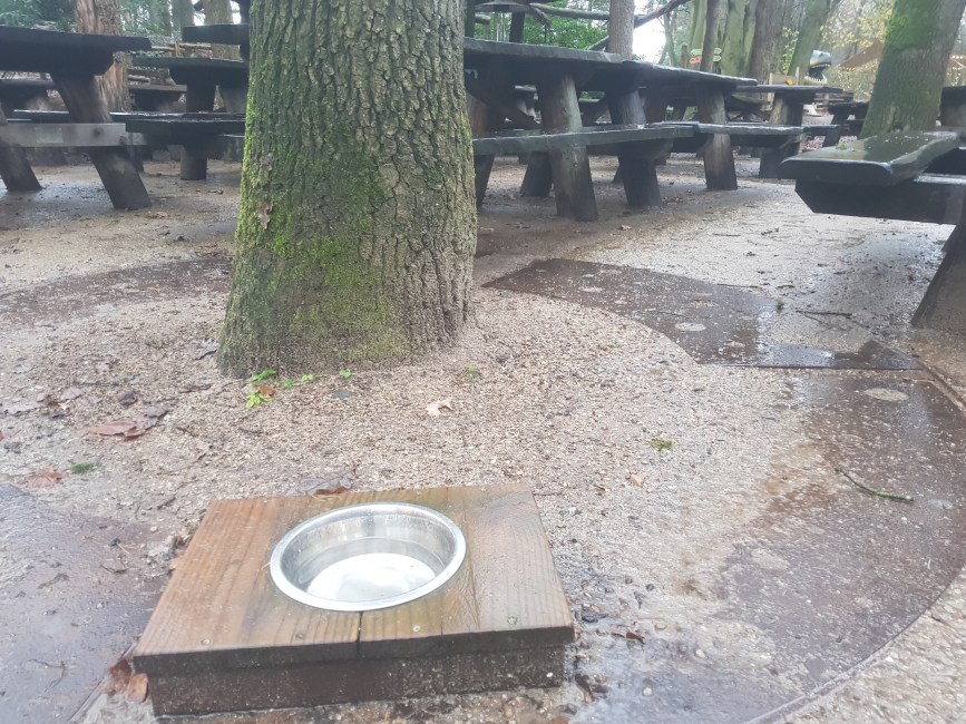 Dierenpark Amersfoort dagje weg hond mee