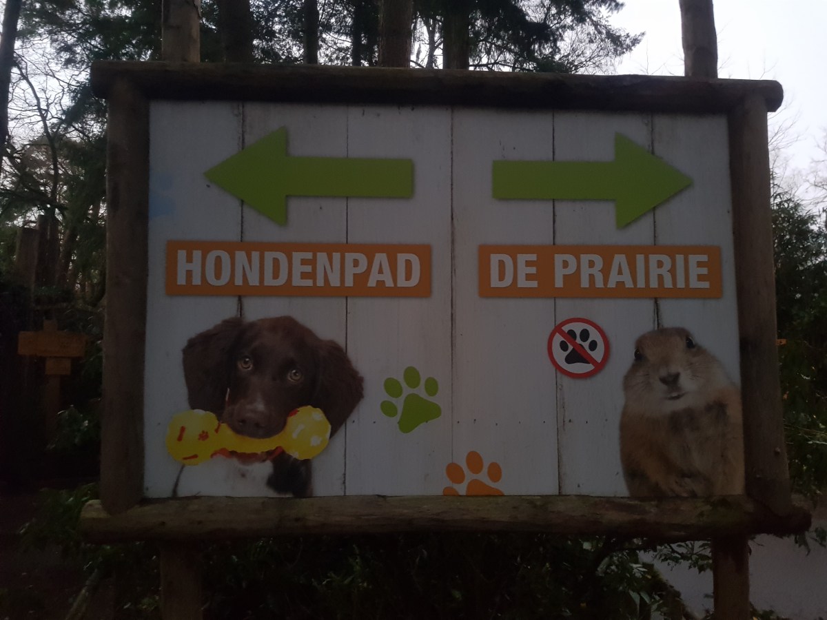 DAGJE WEG, HOND MEE  🐕