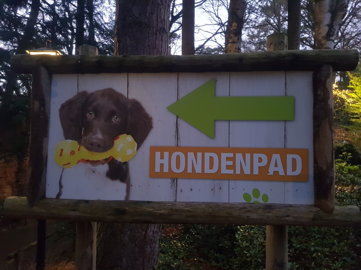 TOP 5 op Dagje weg, hond mee