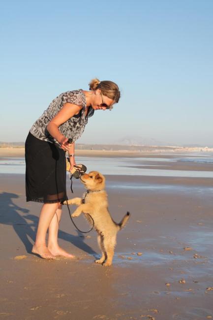 spaanse hondjes simone