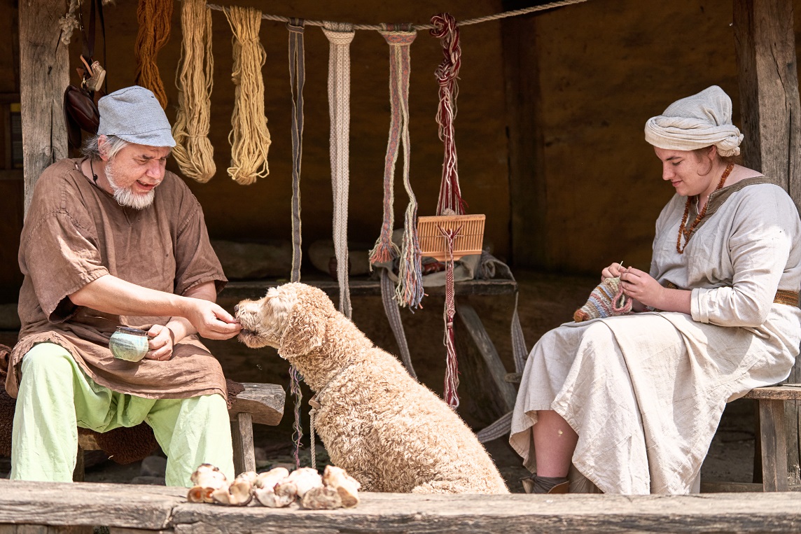 hond in prehistorisch dorp eindhoven