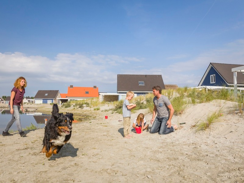 Zeeland – dagje weg, hond mee