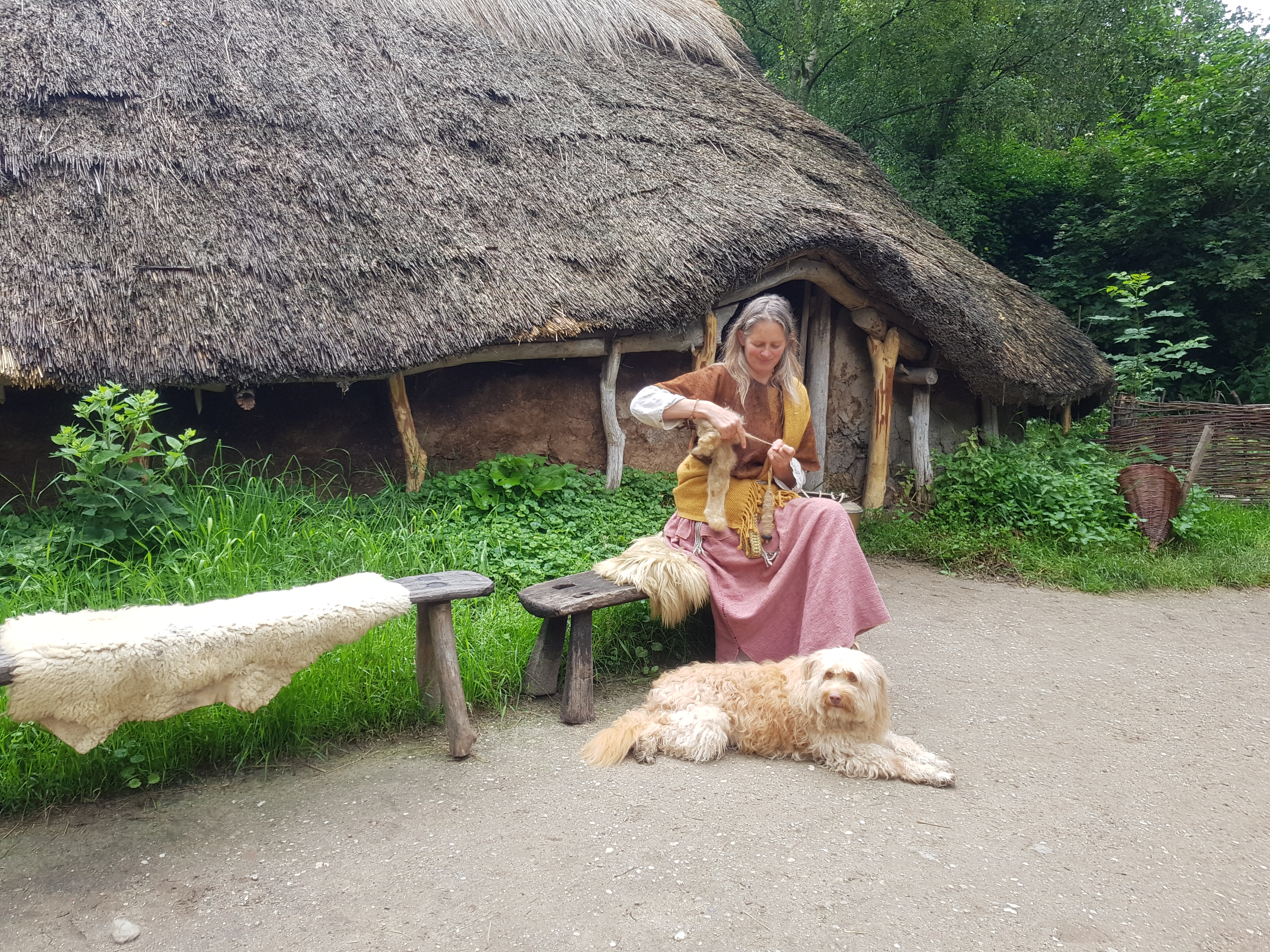 Archeon hond