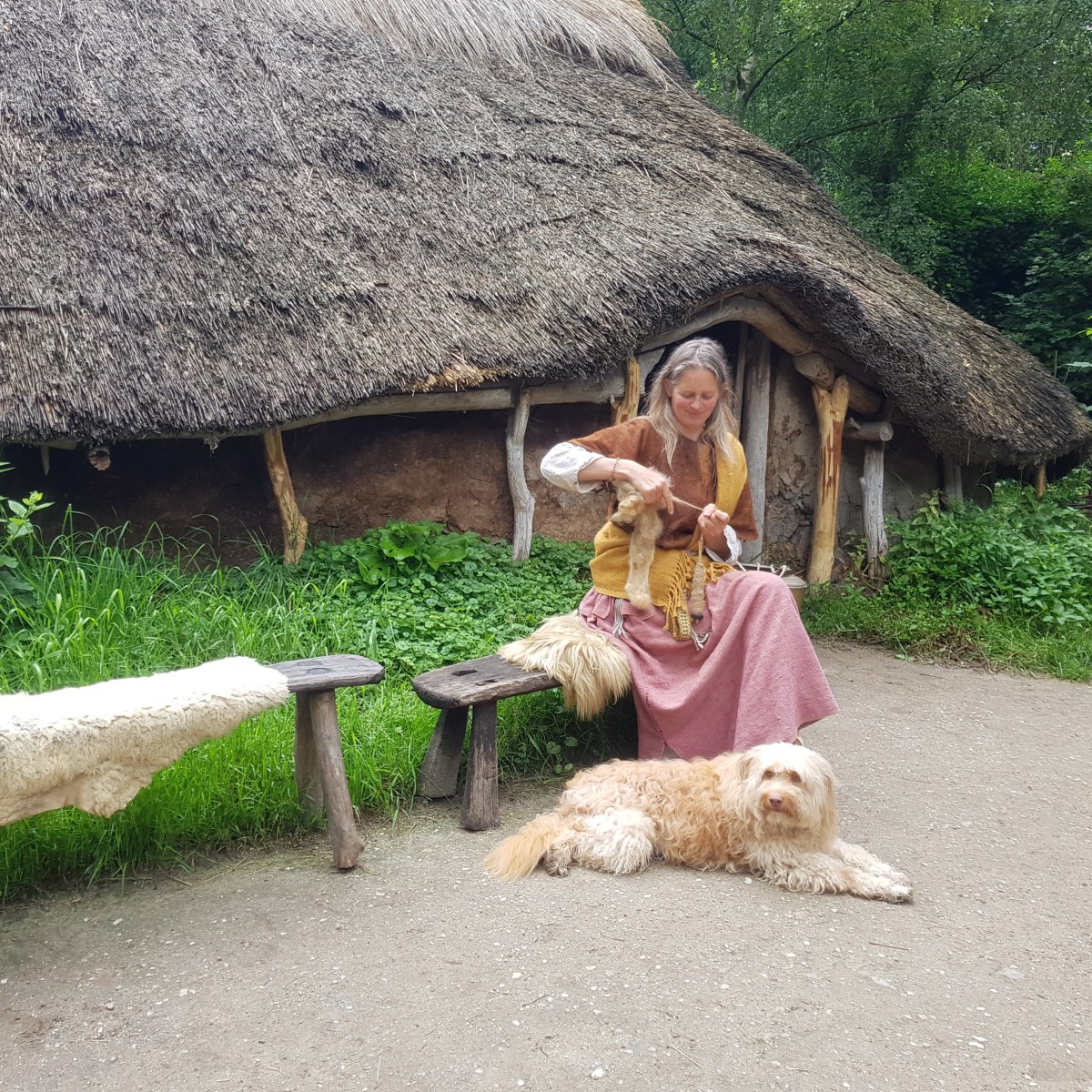 Museum – dagje weg, hond mee