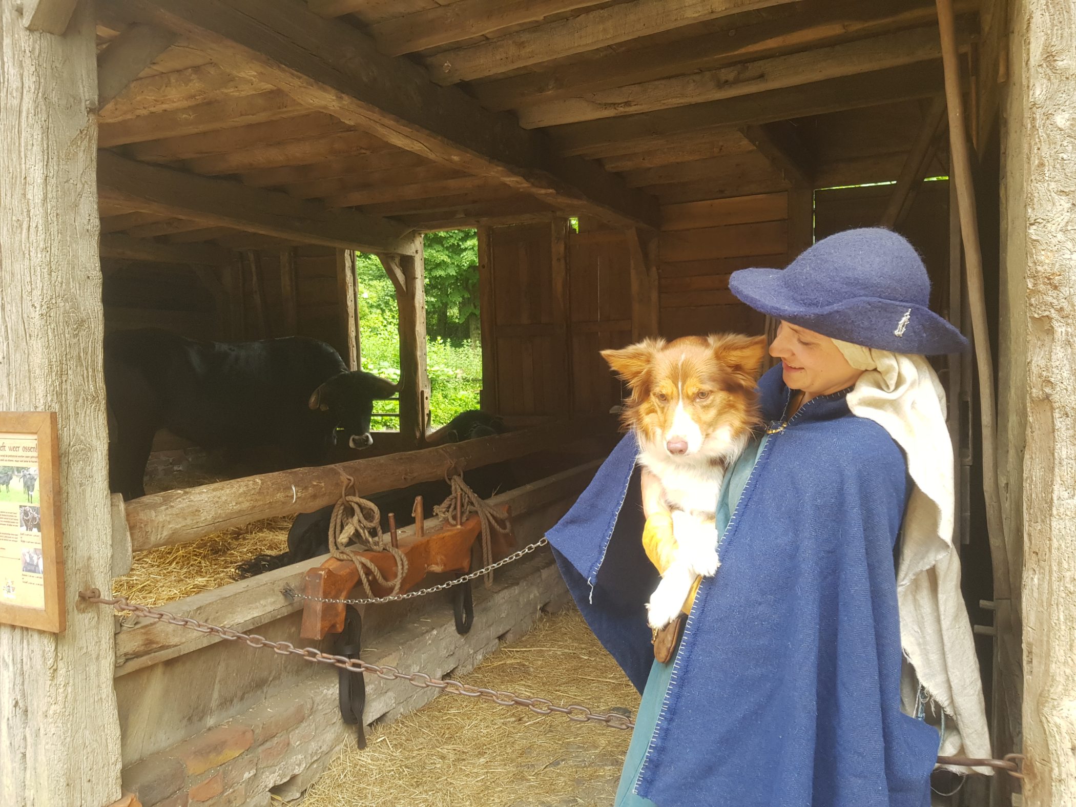 hond in archeon