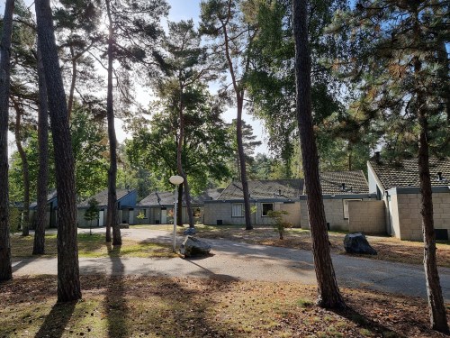 Landal Vennenbos hond mee