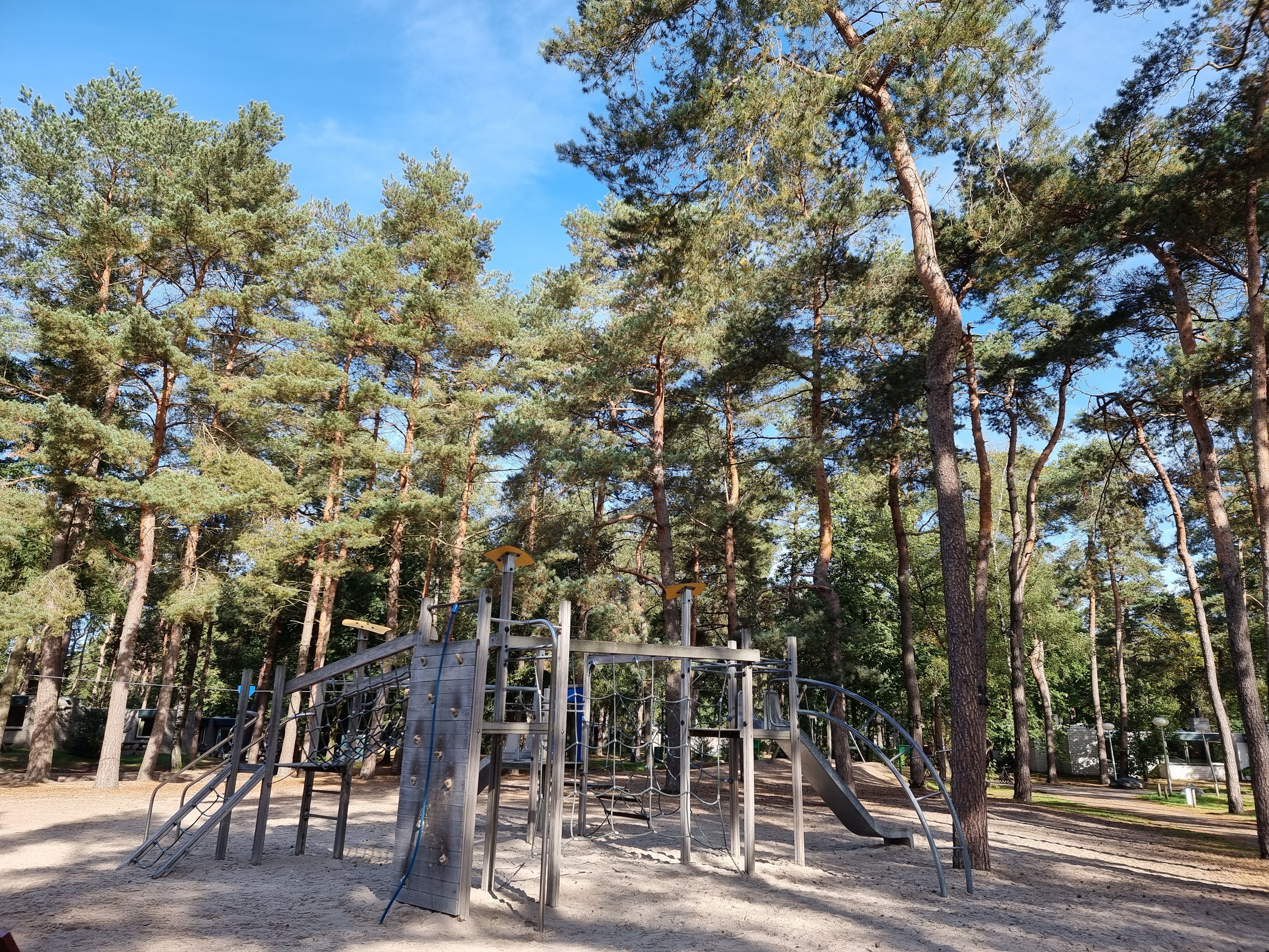 Landal Vennenbos hond mee