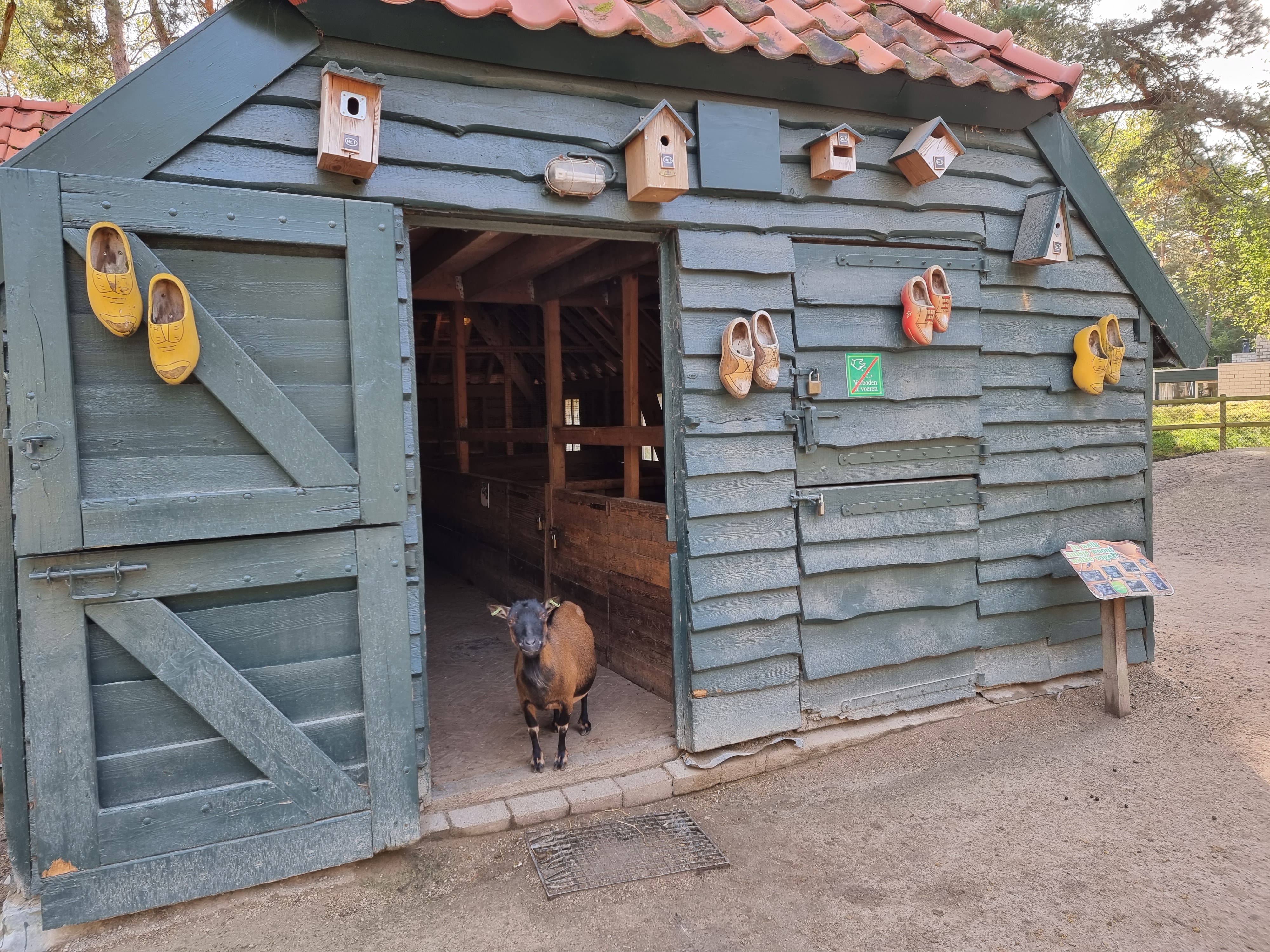 Landal Vennenbos hond mee