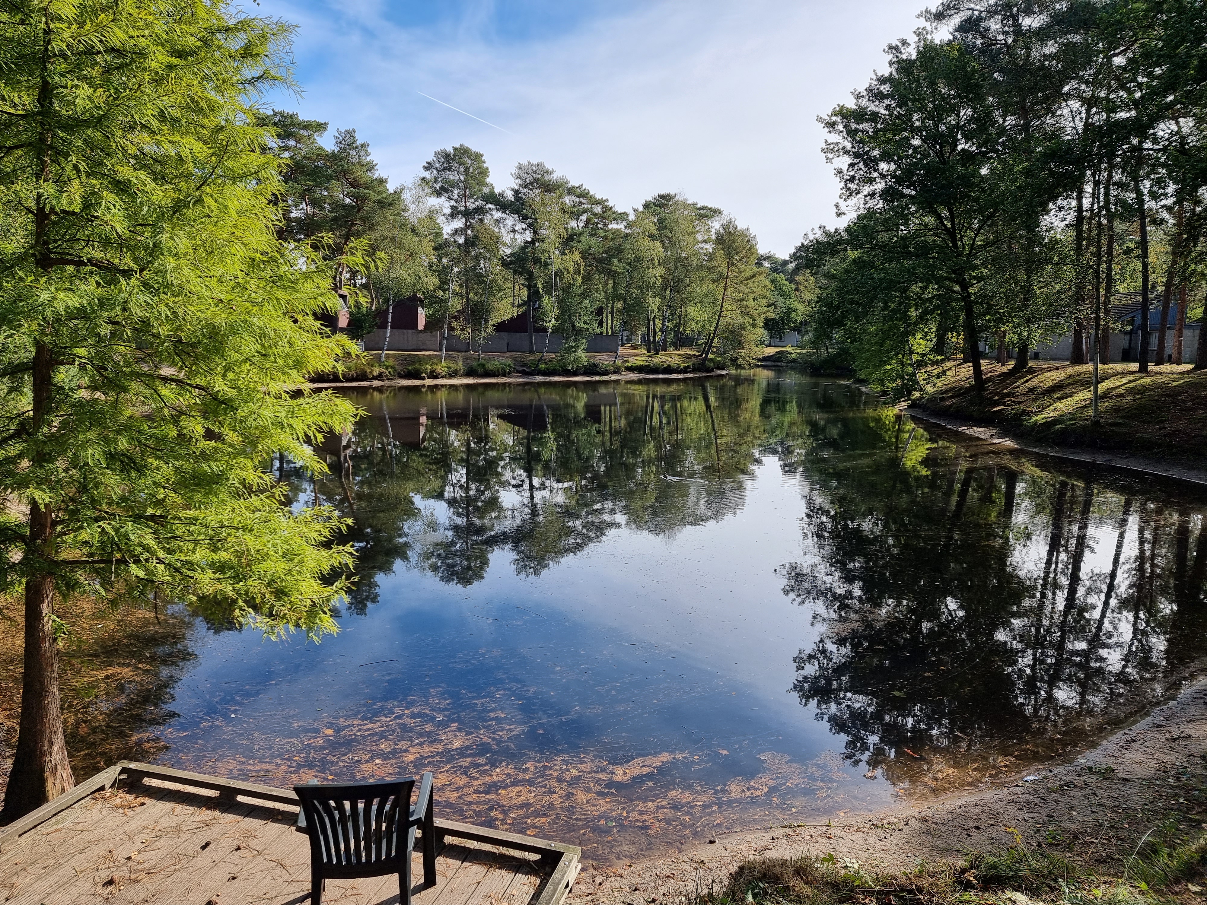 Landal Vennenbos hond mee
