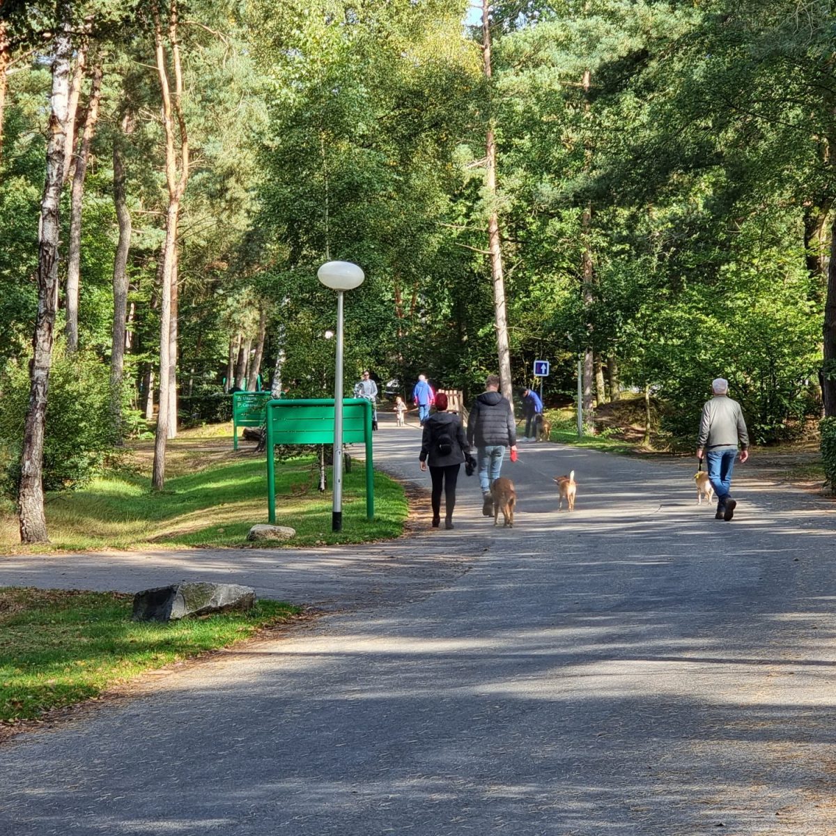 TOP 5 beste websites hondenvakantie