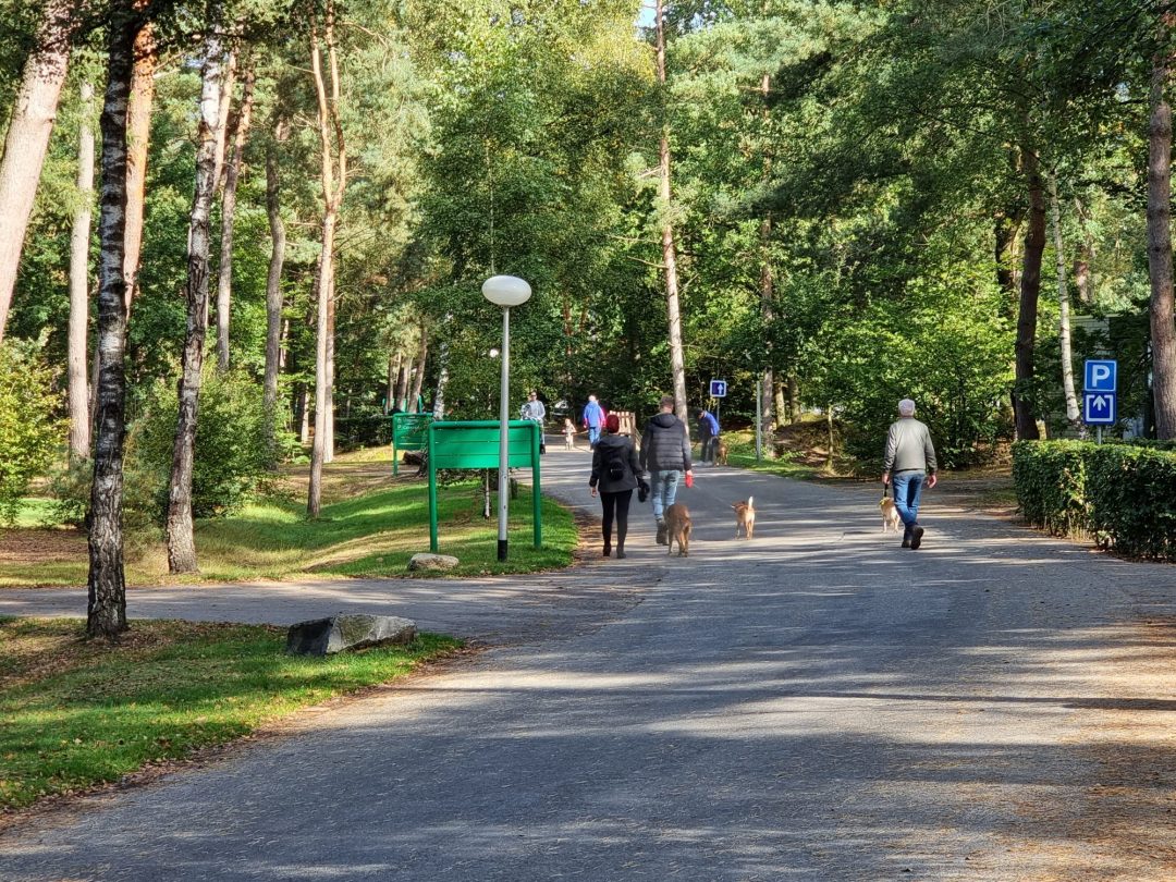 top 5 websites hondenvakantie