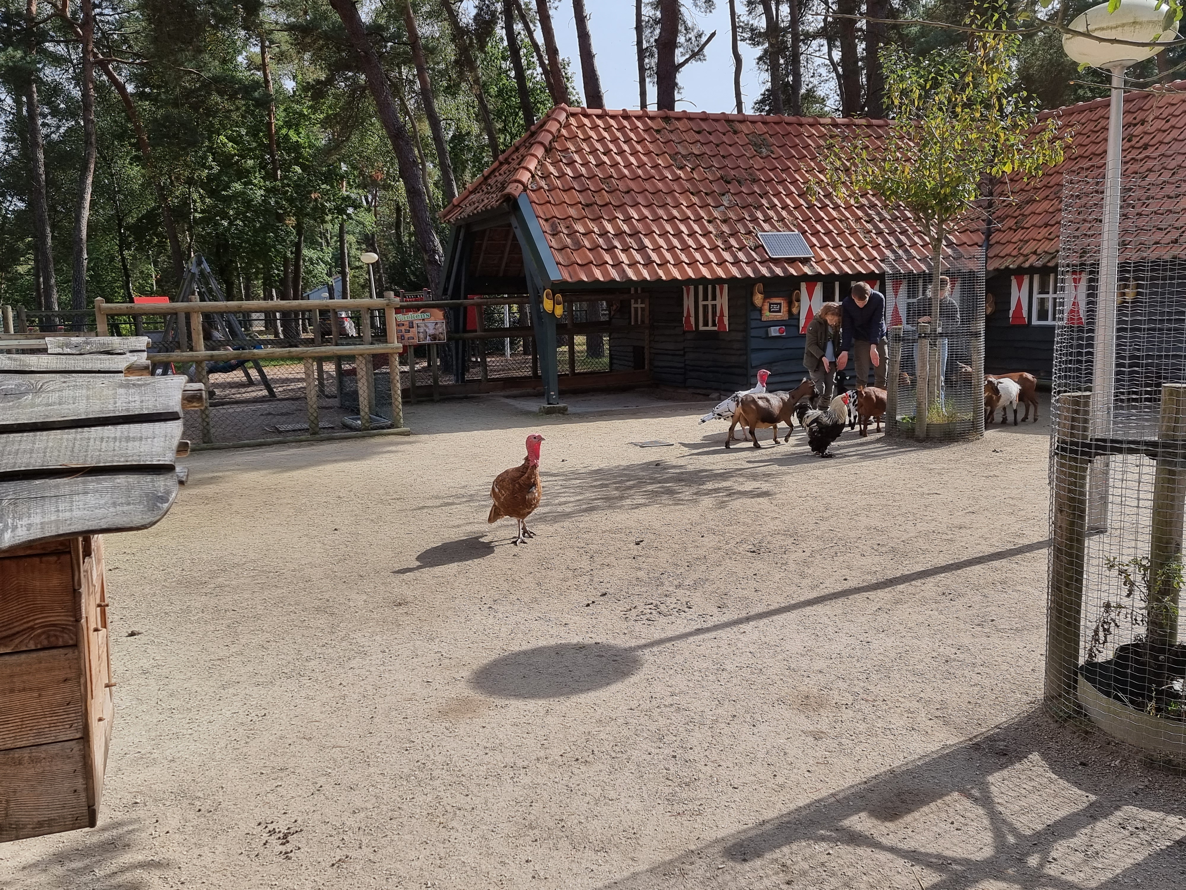 Landal Vennenbos hond mee