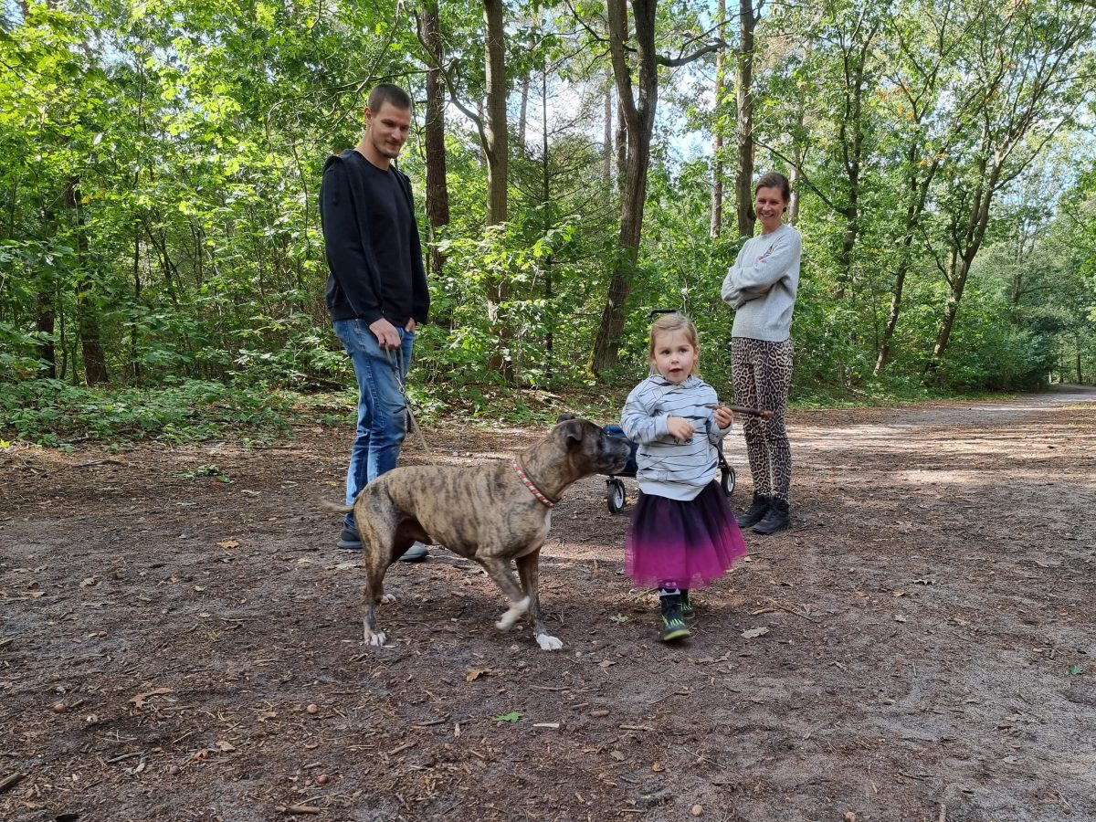 Noord-Brabant – dagje weg, hond mee
